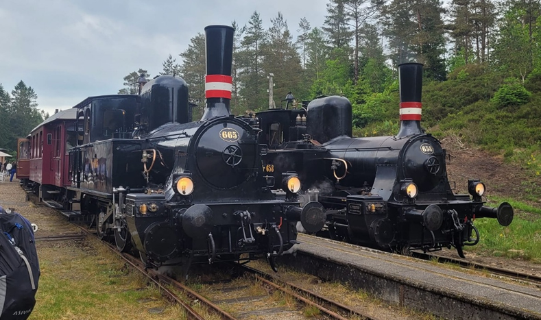 Veterantog Bryrup-Vrads 2025